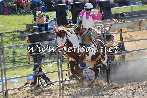 MossVale2015_0245