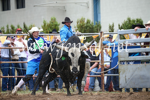 JindabyneRodeo2016-2088