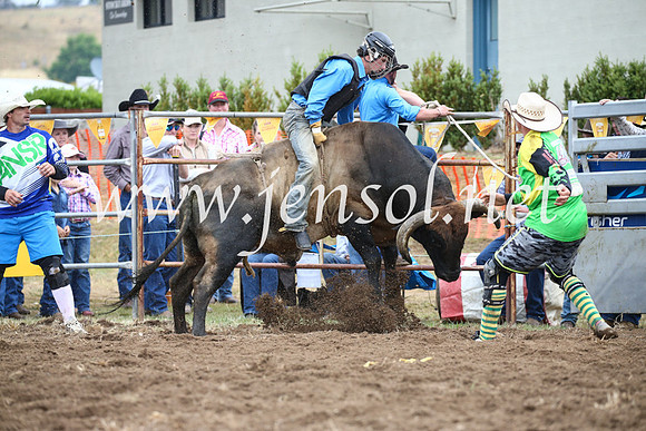JindabyneRodeo2016-1729