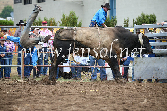 JindabyneRodeo2016-1741