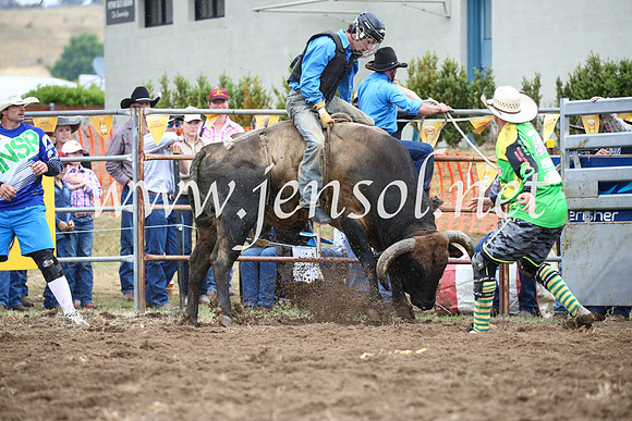JindabyneRodeo2016-1746