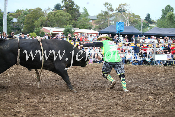 JindabyneRodeo2016-1680