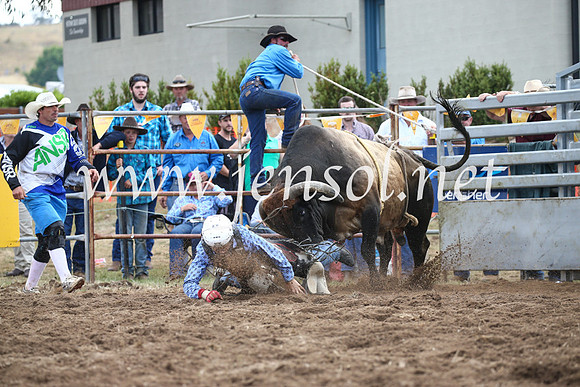 JindabyneRodeo2016_3949