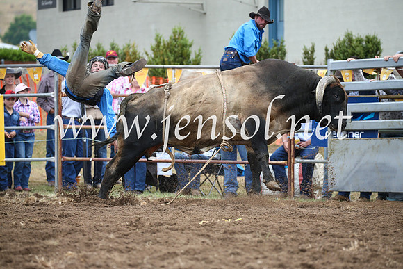 JindabyneRodeo2016-1744
