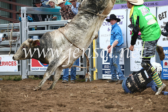 JindabyneRodeo2016-1635