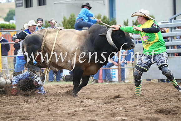 JindabyneRodeo2016_3972