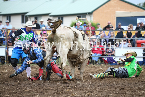 JindabyneRodeo2016-1587