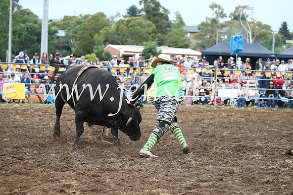 JindabyneRodeo2016-1683