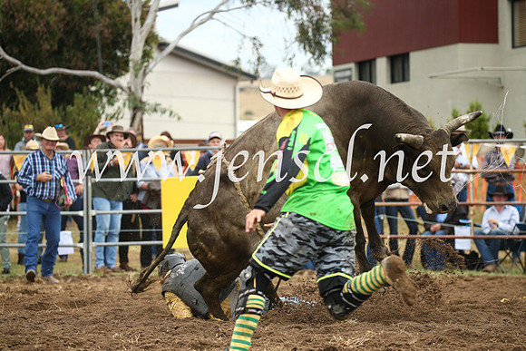 JindabyneRodeo2016-1801