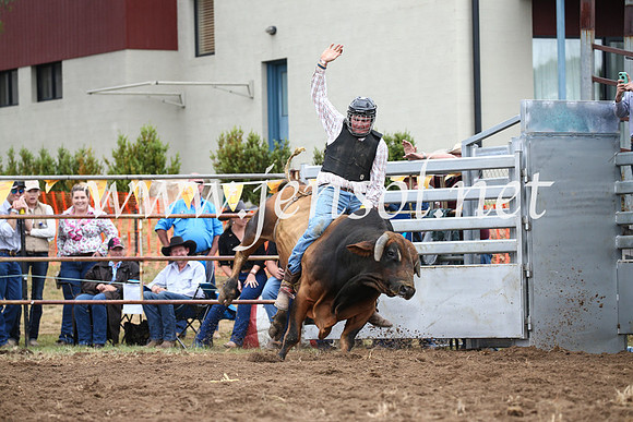 JindabyneRodeo2016-1597