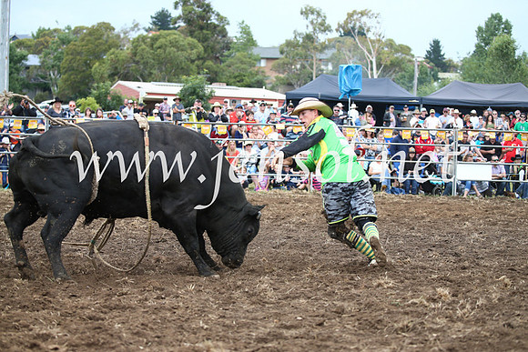 JindabyneRodeo2016-1694