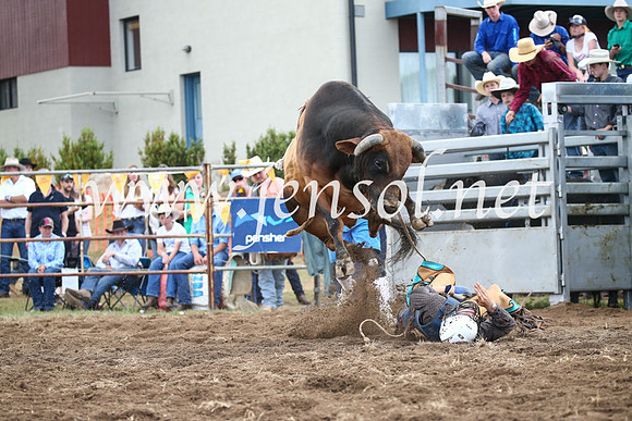JindabyneRodeo2016_3898