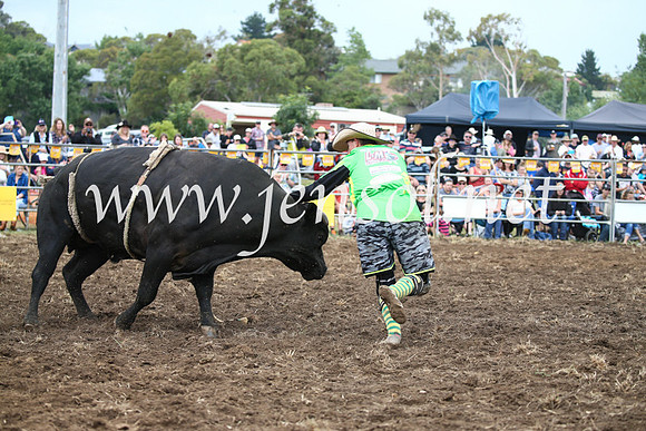 JindabyneRodeo2016-1682
