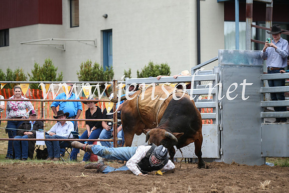 JindabyneRodeo2016-1600