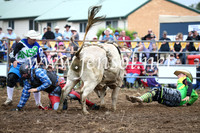 JindabyneRodeo2016-1582