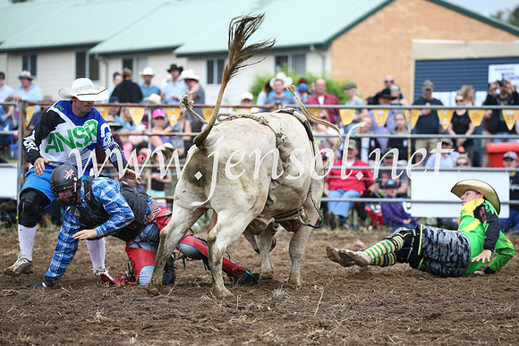 JindabyneRodeo2016-1582