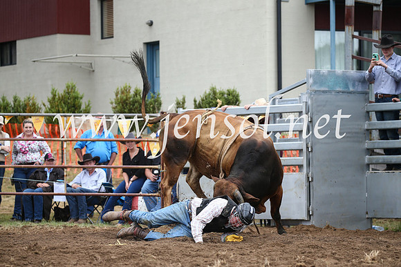 JindabyneRodeo2016-1604