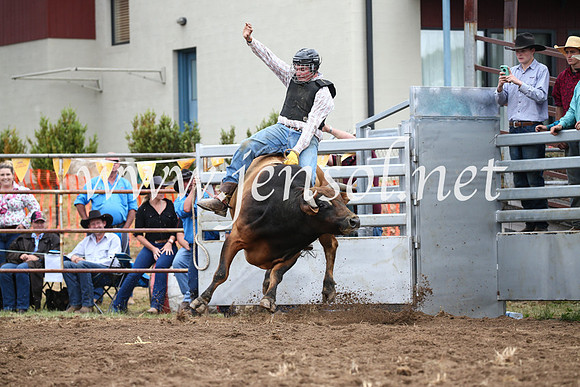 JindabyneRodeo2016-1596