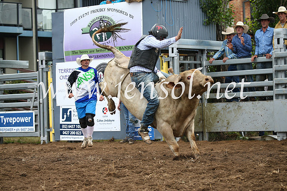 JindabyneRodeo2016-2151