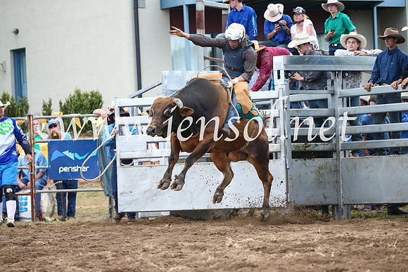 JindabyneRodeo2016_3863