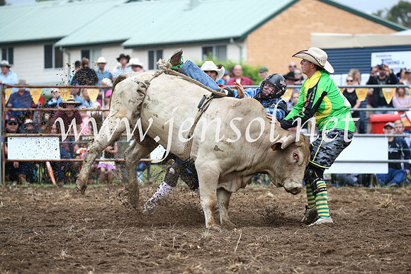 JindabyneRodeo2016-1560
