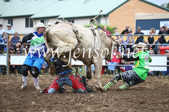 JindabyneRodeo2016-1588