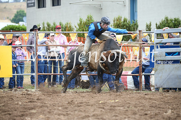 JindabyneRodeo2016-1736