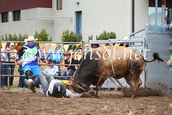 JindabyneRodeo2016-1615
