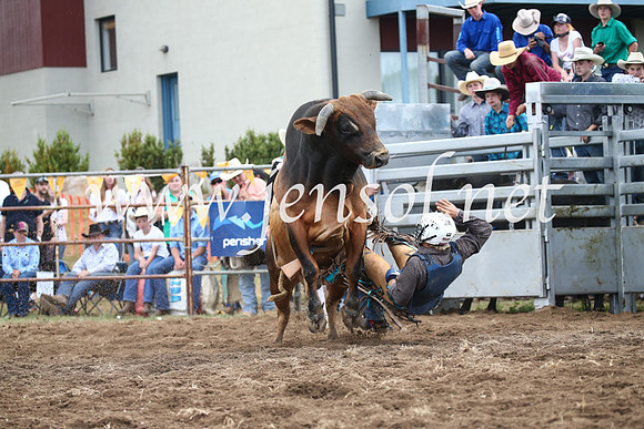 JindabyneRodeo2016_3881