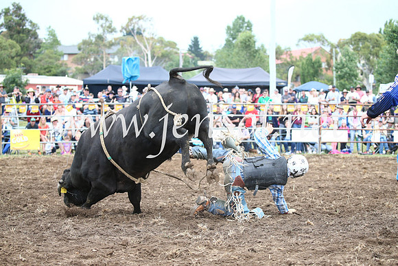 JindabyneRodeo2016-1677