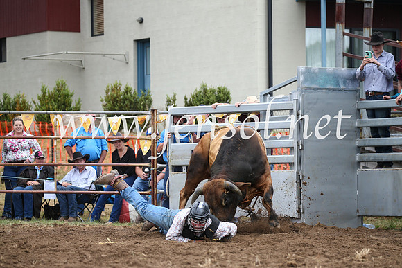 JindabyneRodeo2016-1601