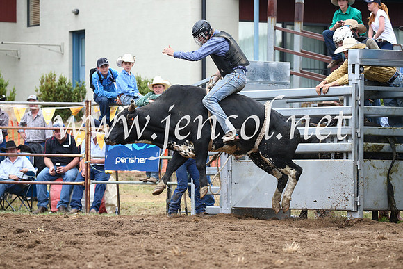 JindabyneRodeo2016-2054