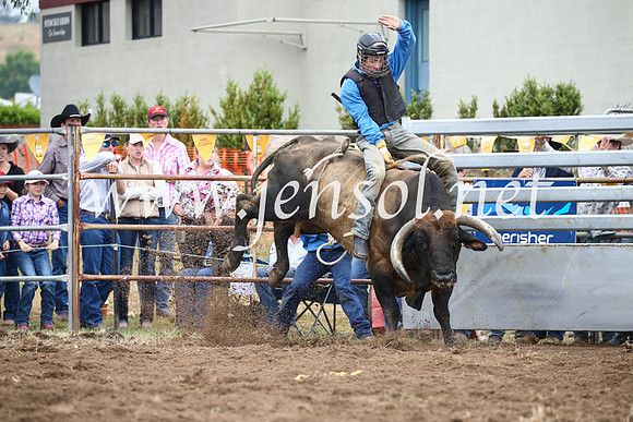 JindabyneRodeo2016-1715