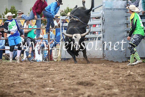 JindabyneRodeo2016_3911