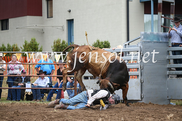 JindabyneRodeo2016-1599