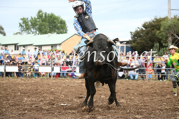 JindabyneRodeo2016-1660