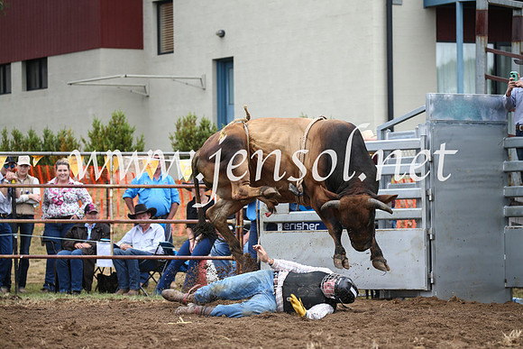 JindabyneRodeo2016-1608