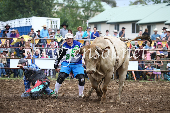 JindabyneRodeo2016-1577