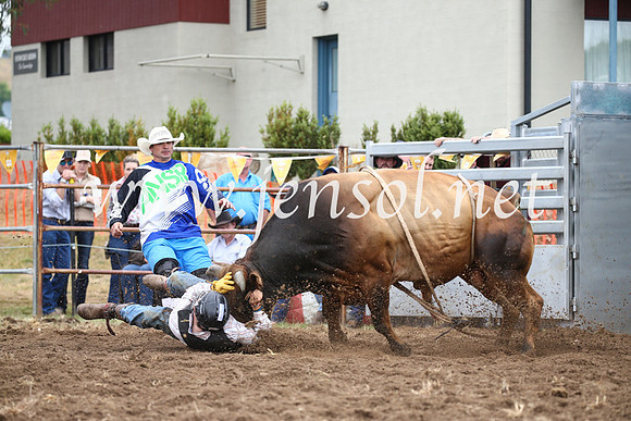 JindabyneRodeo2016-1611