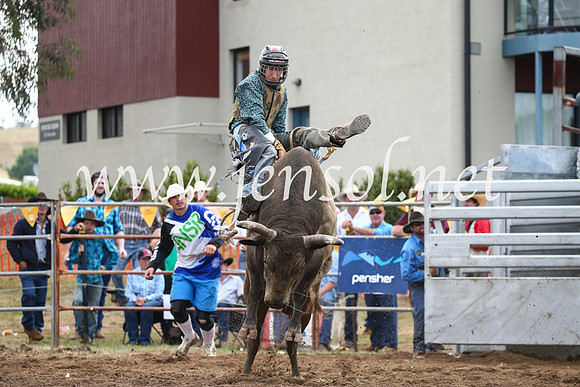 JindabyneRodeo2016_4015