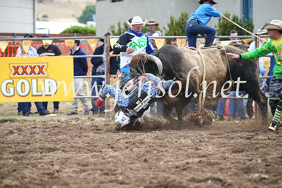 JindabyneRodeo2016_3962