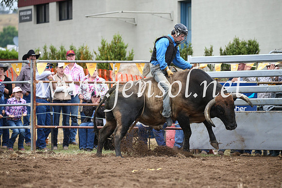 JindabyneRodeo2016-1722