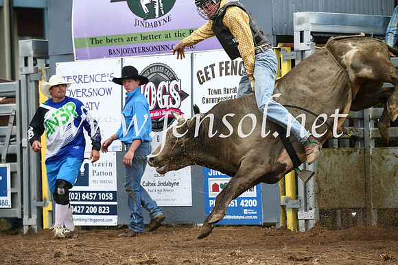 JindabyneRodeo2016-1761