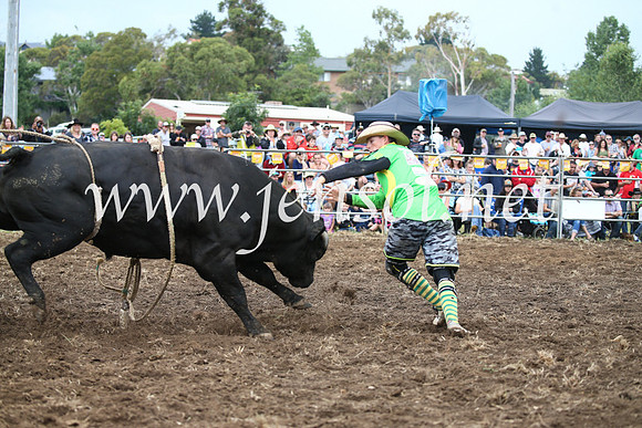 JindabyneRodeo2016-1693