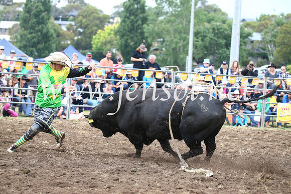 JindabyneRodeo2016-1690