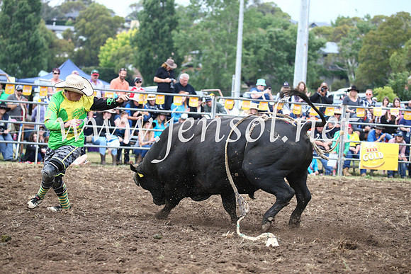JindabyneRodeo2016-1689