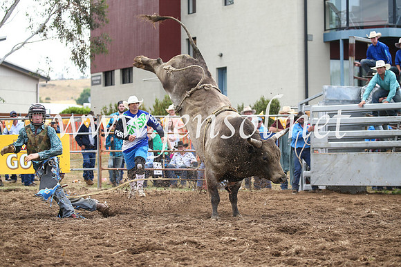 JindabyneRodeo2016_4008