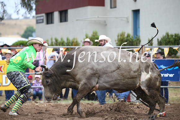 JindabyneRodeo2016-1799
