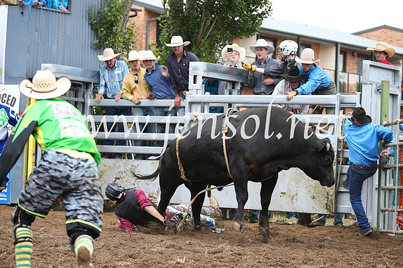 JindabyneRodeo2016-1979