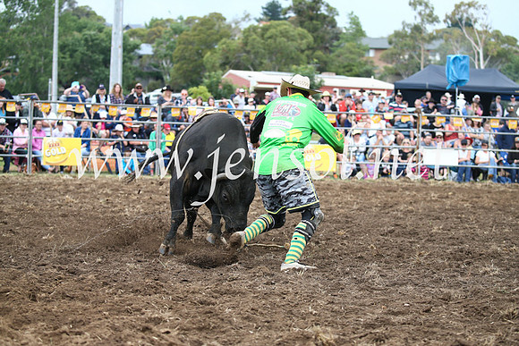 JindabyneRodeo2016-1686